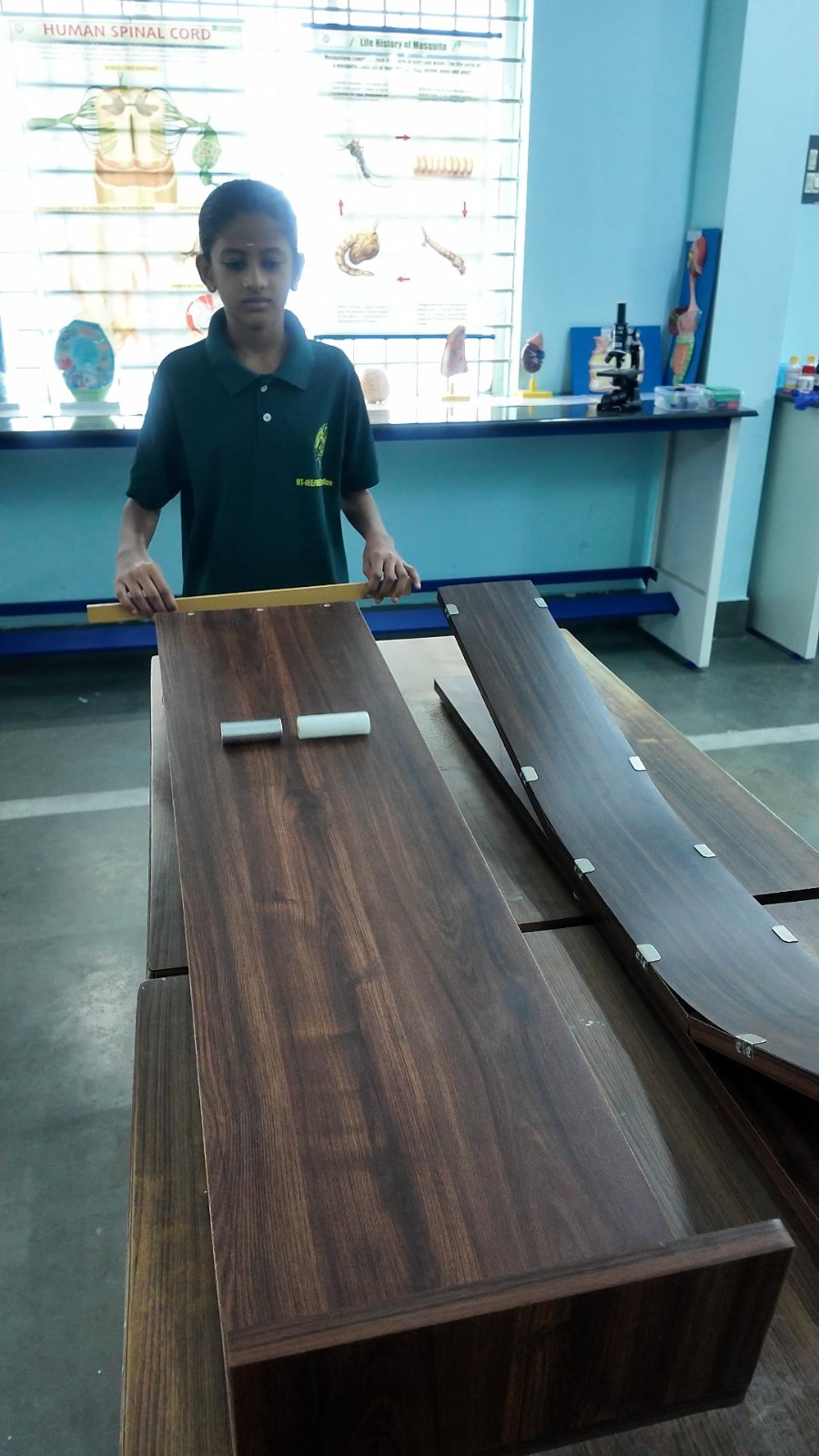 Motion & Friction Lab